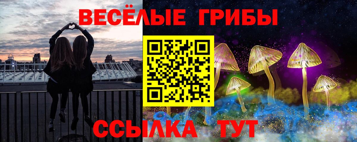Псилоцибиновые грибы прущие грибы  Псилоцибиновые грибы мицелий  Киржач  Вход с VPN 
